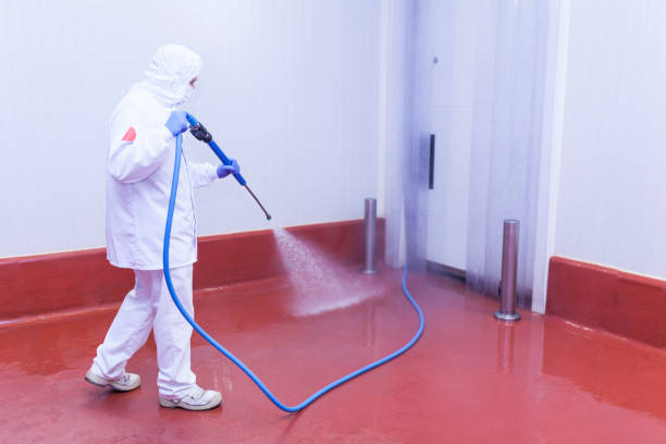 Reliable West Hempstead, NY Pressure Washing Services Solutions